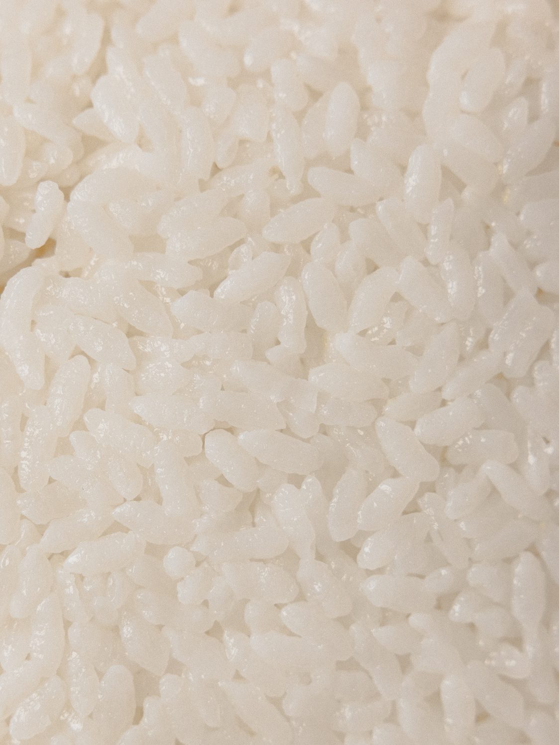 Freshly cooked sushi rice, close up